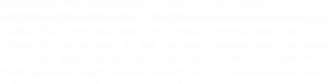 LOGO ONVALUE hor w.